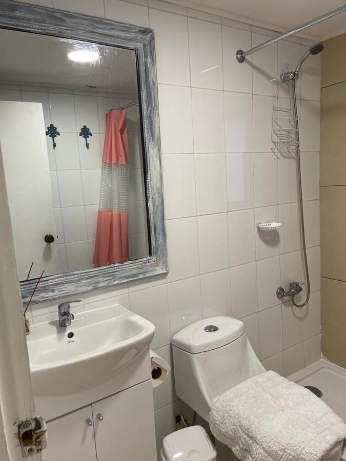 Apart Hotel Don Domingo Temuco Ngoại thất bức ảnh