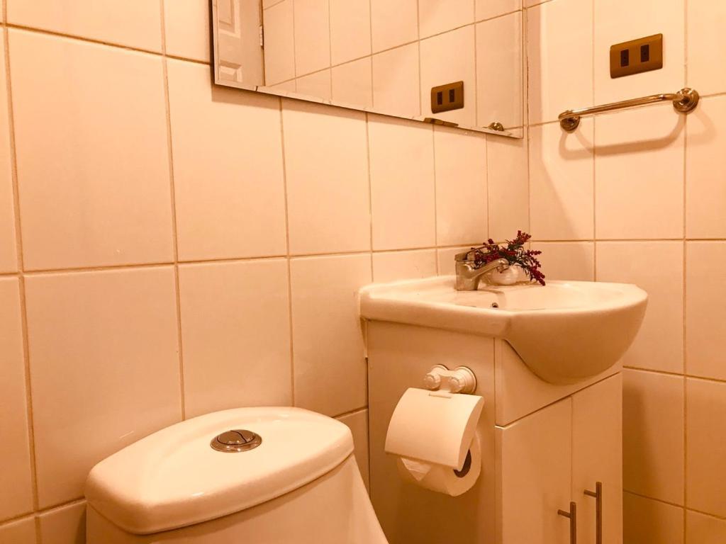 Apart Hotel Don Domingo Temuco Ngoại thất bức ảnh